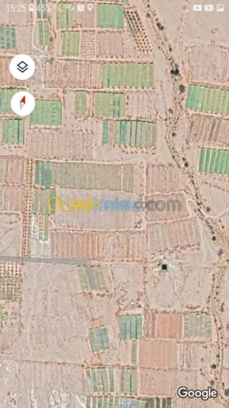 Vente Terrain Agricole Biskra El ghrous 4