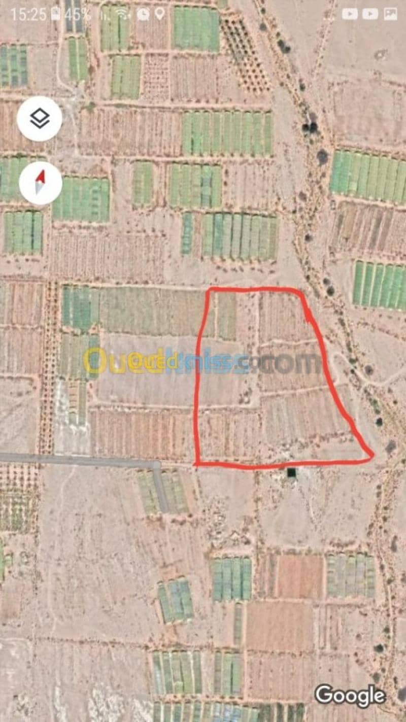 Vente Terrain Agricole Biskra El ghrous 7