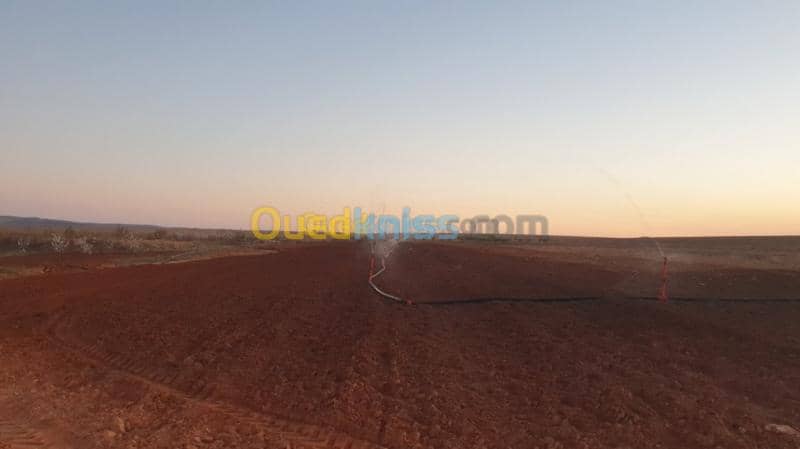 Vente Terrain Agricole Djelfa Ain oussara