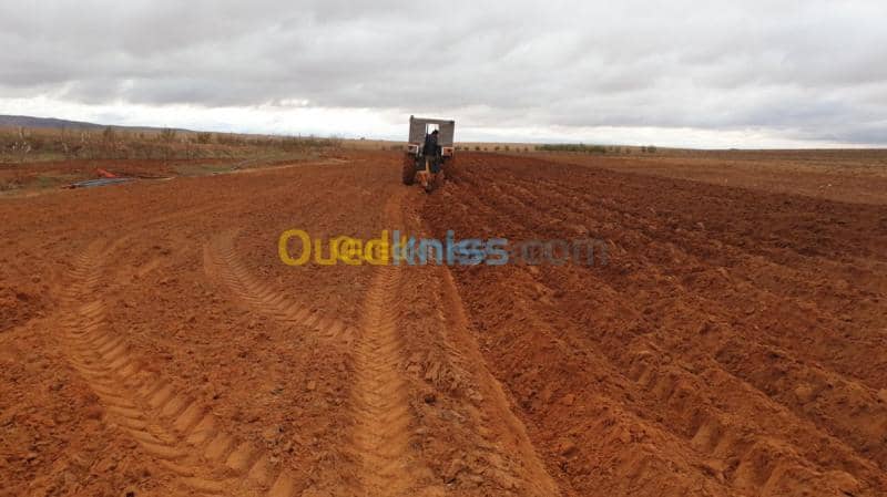 Vente Terrain Agricole Djelfa Ain oussara 7