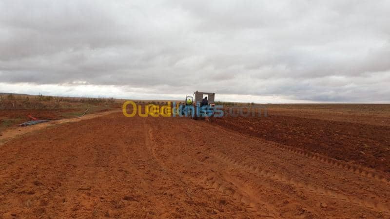 Vente Terrain Agricole Djelfa Ain oussara 8