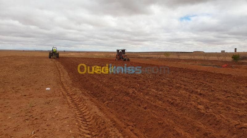 Vente Terrain Agricole Djelfa Ain oussara 9