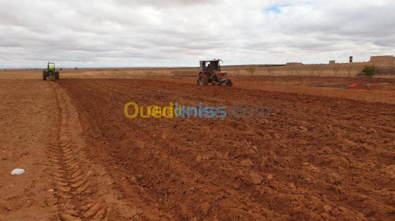 Vente Terrain Agricole Djelfa Ain oussara 10