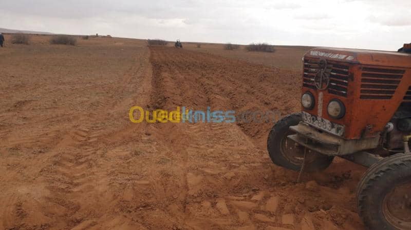 Vente Terrain Agricole Djelfa Ain oussara 11