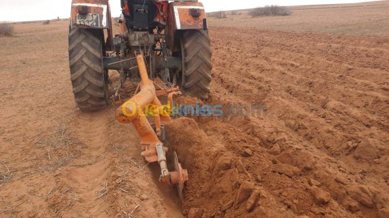 Vente Terrain Agricole Djelfa Ain oussara 12