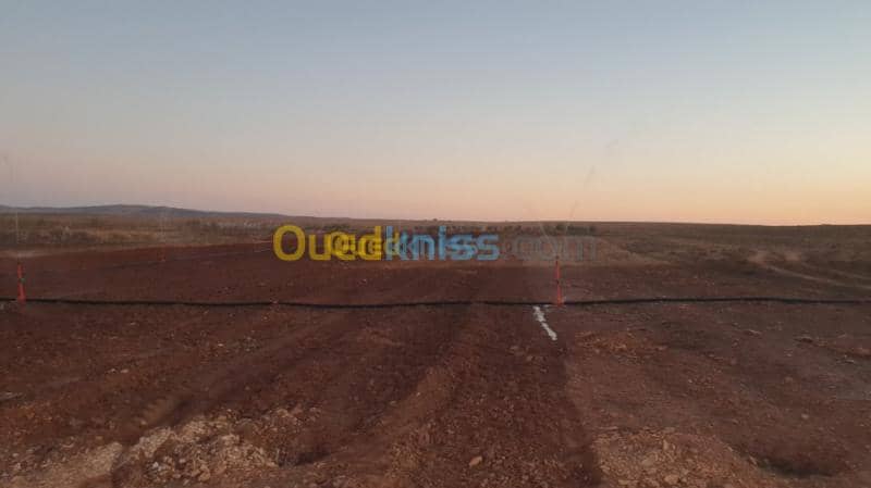 Vente Terrain Agricole Djelfa Ain oussara 2