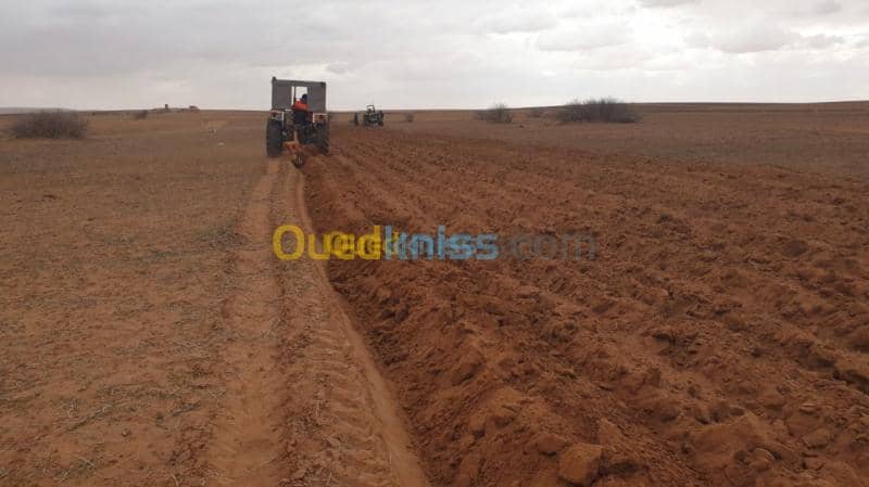 Vente Terrain Agricole Djelfa Ain oussara 13