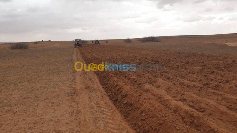 Vente Terrain Agricole Djelfa Ain oussara 14