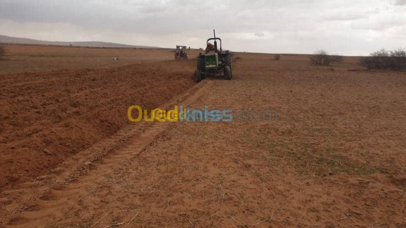 Vente Terrain Agricole Djelfa Ain oussara 15