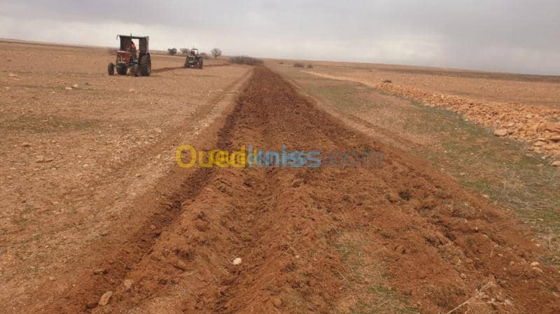 Vente Terrain Agricole Djelfa Ain oussara 16