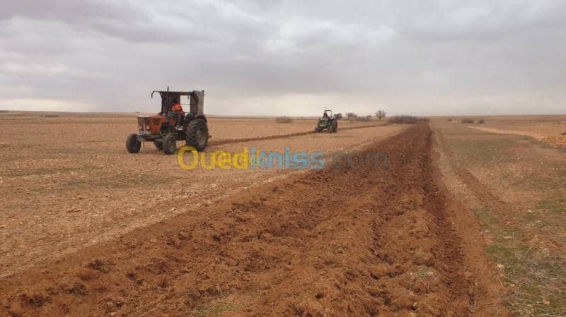 Vente Terrain Agricole Djelfa Ain oussara 17