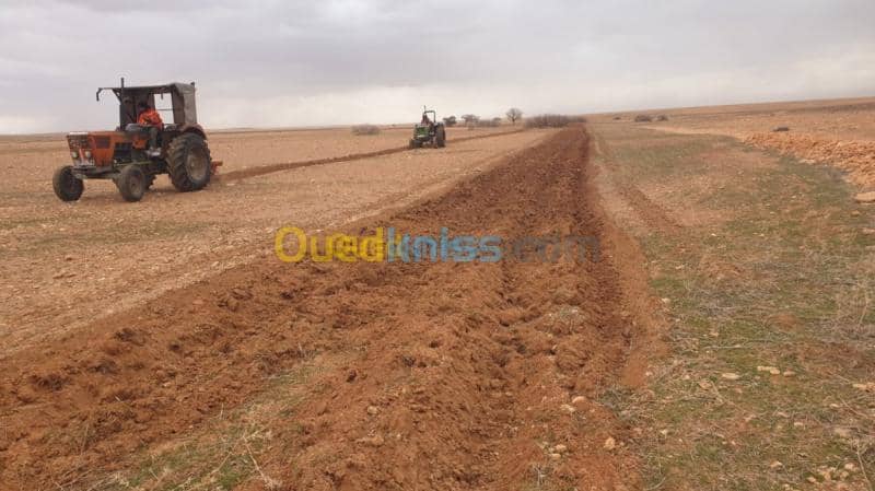 Vente Terrain Agricole Djelfa Ain oussara 18
