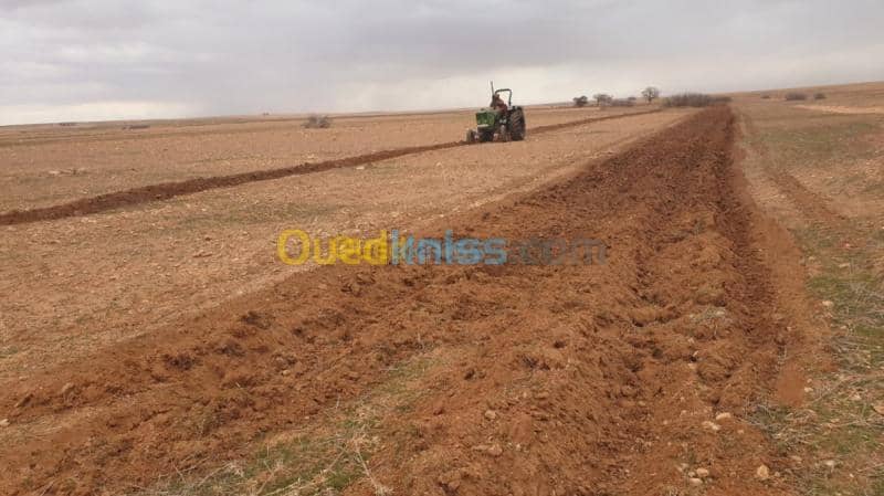 Vente Terrain Agricole Djelfa Ain oussara 19