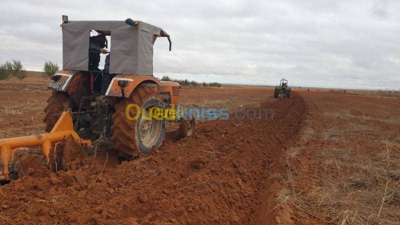 Vente Terrain Agricole Djelfa Ain oussara 4