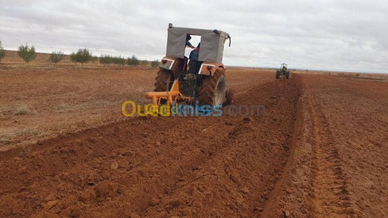 Vente Terrain Agricole Djelfa Ain oussara 5