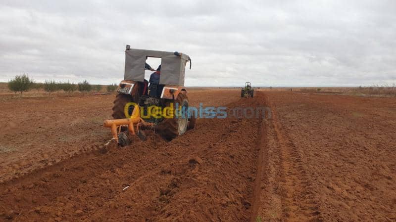 Vente Terrain Agricole Djelfa Ain oussara 6
