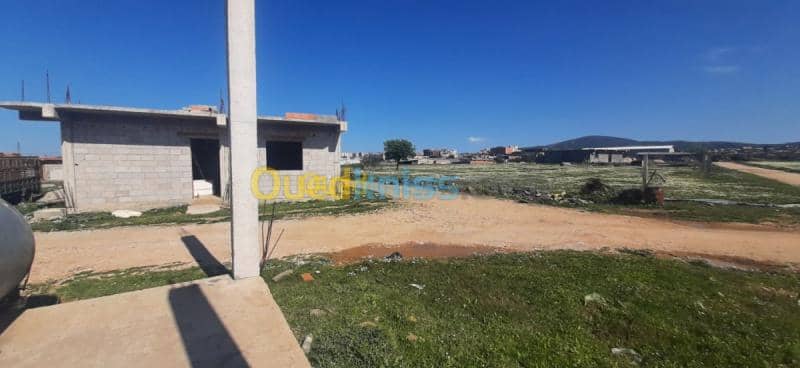 Vente Appartement F3 Skikda Azzaba 3