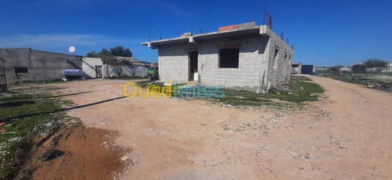 Vente Appartement F3 Skikda Azzaba 4