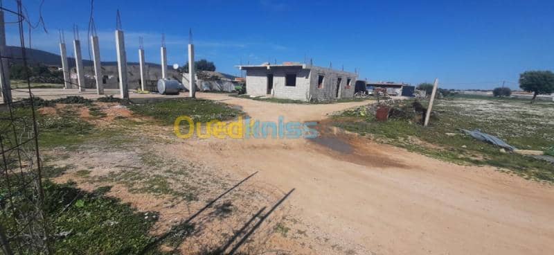 Vente Appartement F3 Skikda Azzaba 5