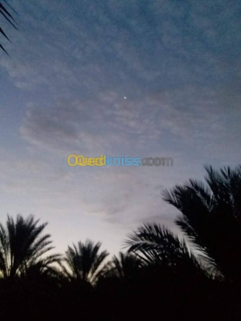 Vente Terrain Agricole Biskra Foughala 2