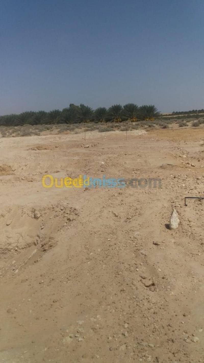 Vente Terrain Agricole Biskra Foughala 4