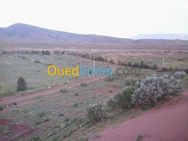Vente Terrain Agricole Naama Ain sefra 3