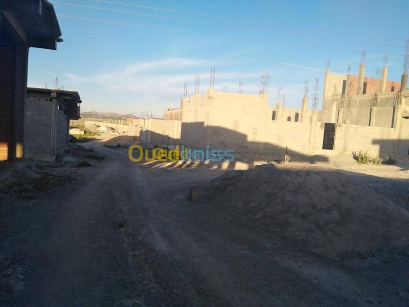 Vente Carcasse Mila Chelghoum laid 2