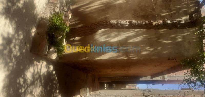 Vente Niveau De Villa F2 Ain temouchent Beni saf 2