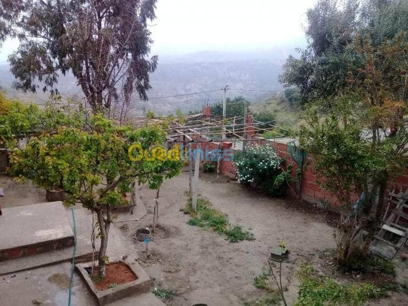 Vente Niveau De Villa F6 Tlemcen Marsa ben mhidi 4