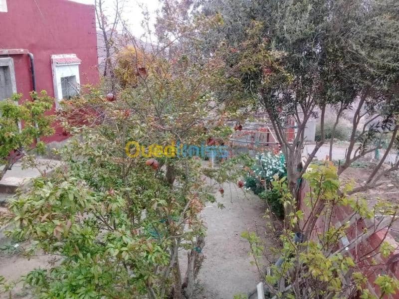 Vente Niveau De Villa F6 Tlemcen Marsa ben mhidi 5