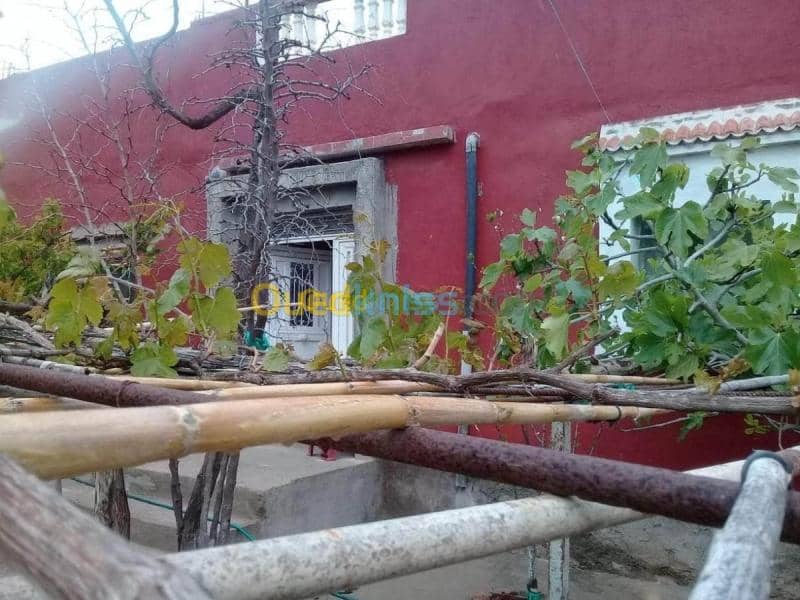 Vente Niveau De Villa F6 Tlemcen Marsa ben mhidi 10