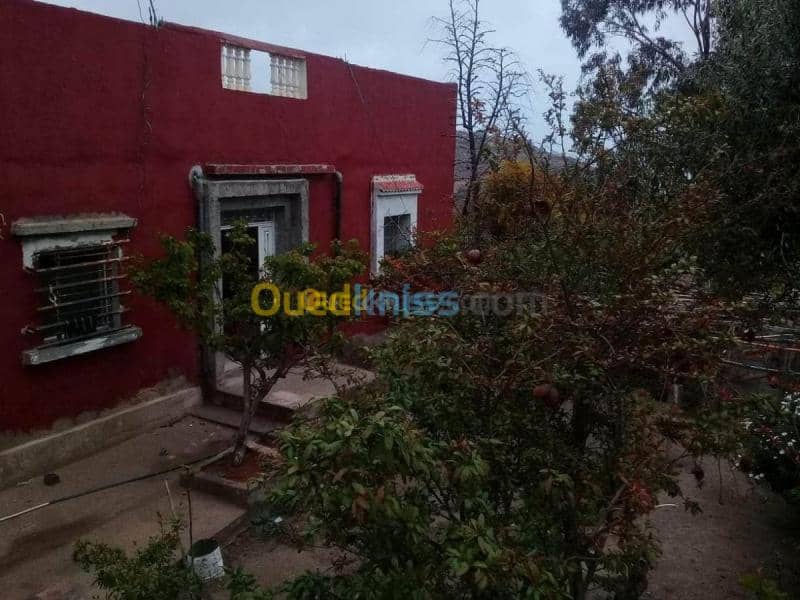 Vente Niveau De Villa F6 Tlemcen Marsa ben mhidi 11