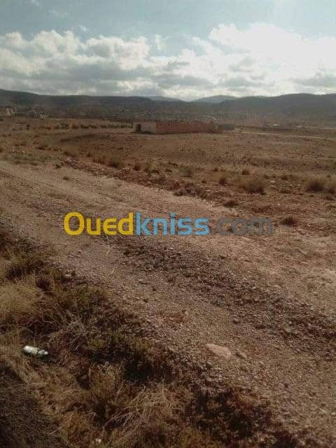 Vente Terrain Msila Bou saada 12