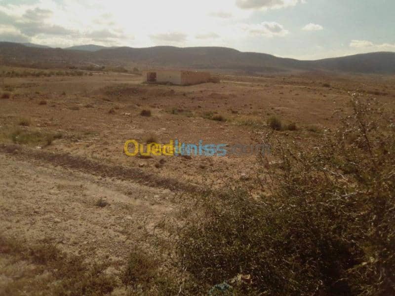 Vente Terrain Msila Bou saada 14