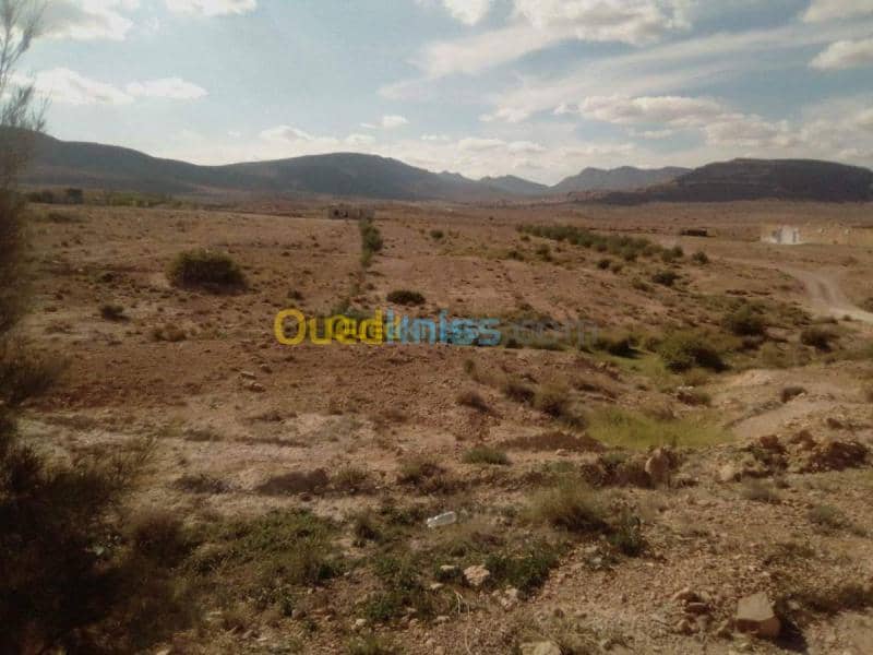 Vente Terrain Msila Bou saada 15