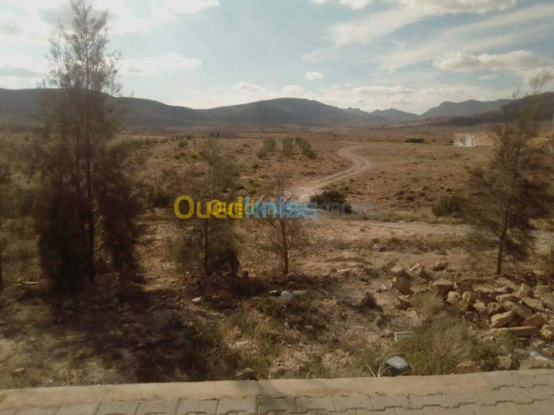 Vente Terrain Msila Bou saada 17