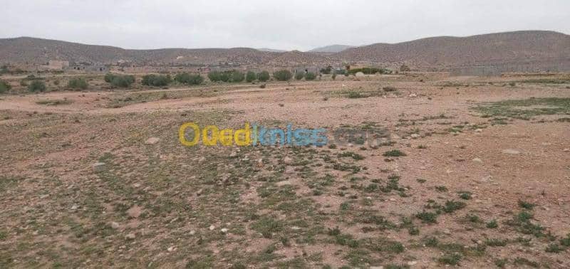 Vente Terrain Msila Bou saada 2