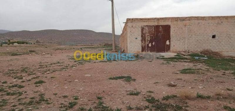 Vente Terrain Msila Bou saada 3