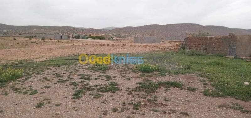 Vente Terrain Msila Bou saada 9