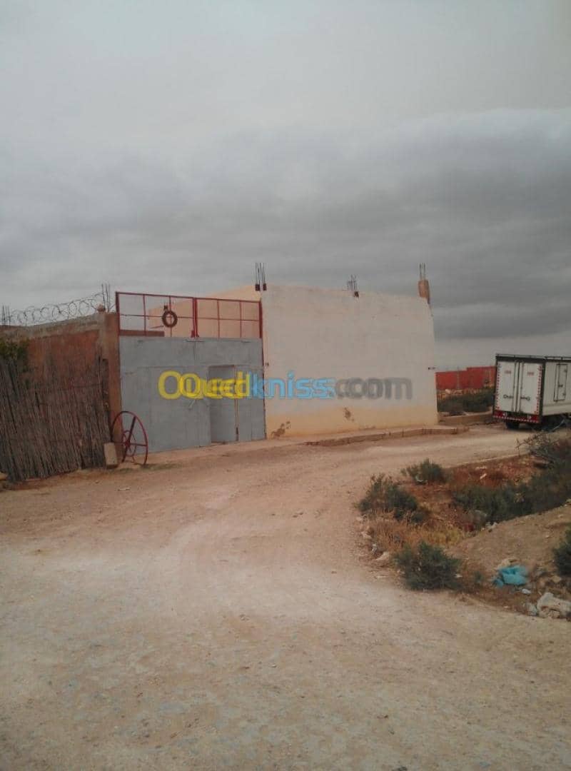 Vente Hangar Relizane Relizane 10