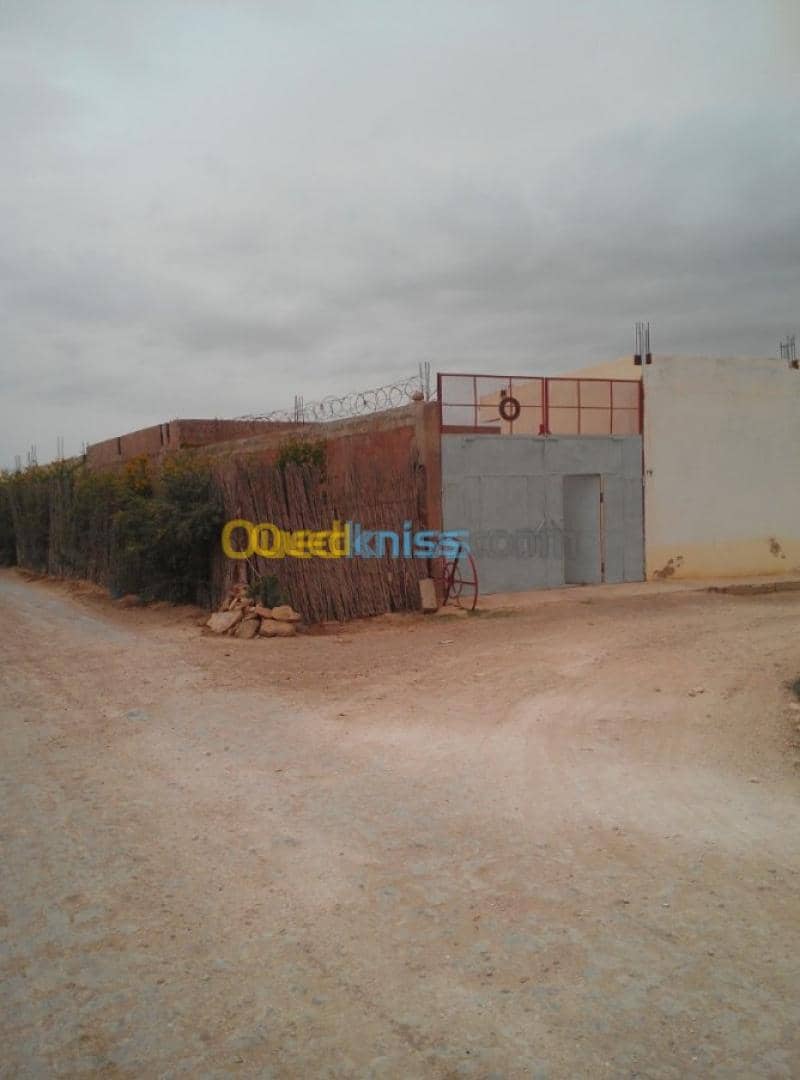 Vente Hangar Relizane Relizane 11