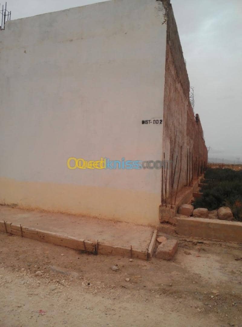 Vente Hangar Relizane Relizane 13
