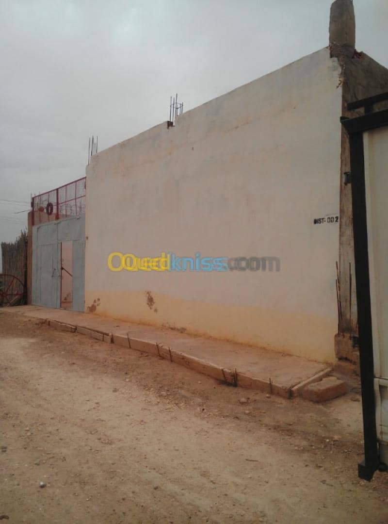 Vente Hangar Relizane Relizane 14