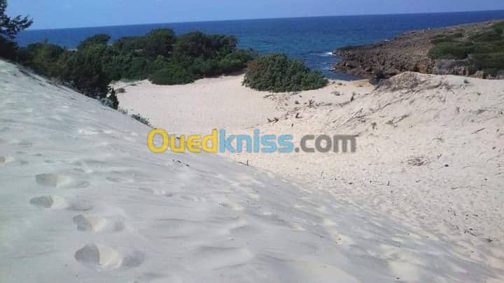 Location vacances Villa El taref El kala 14