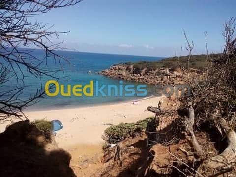 Location vacances Villa El taref El kala 15