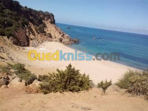 Location vacances Villa El taref El kala 17
