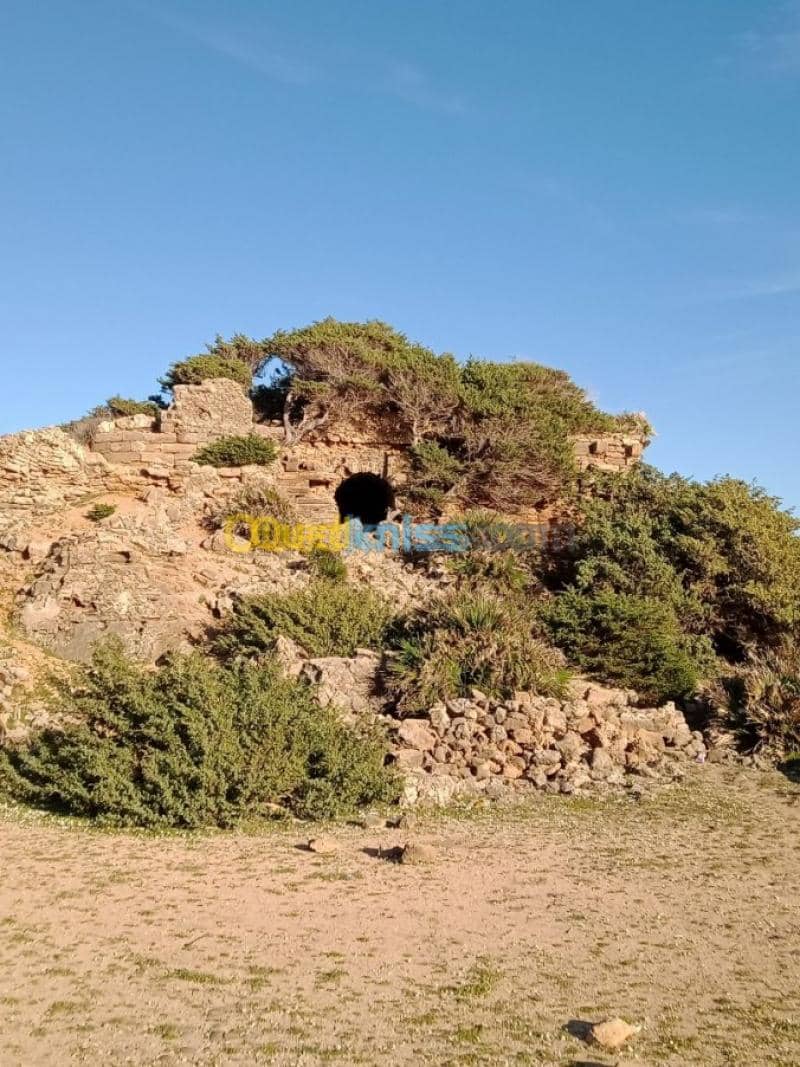 Location vacances Villa El taref El kala 18