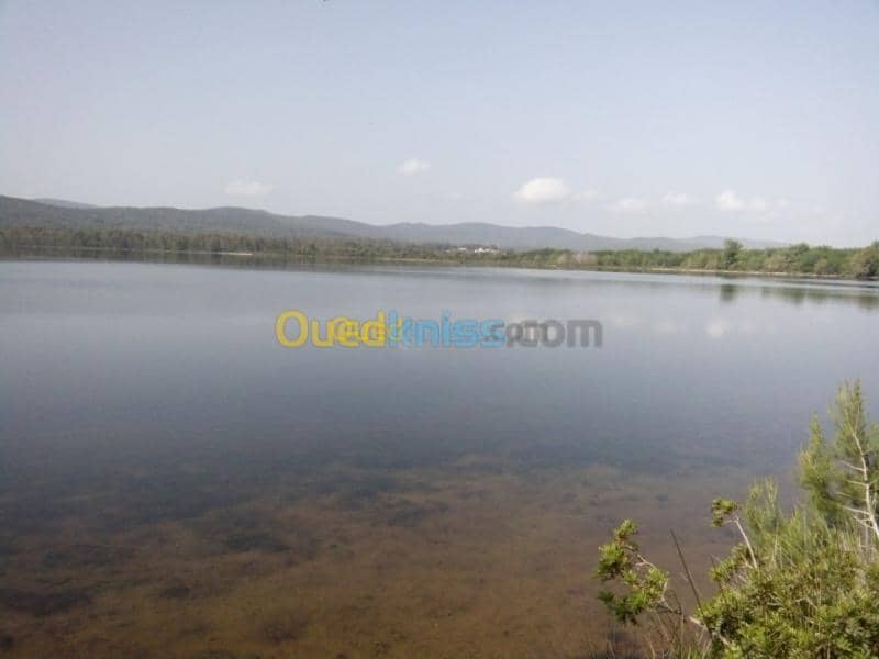 Location vacances Villa El taref El kala 25