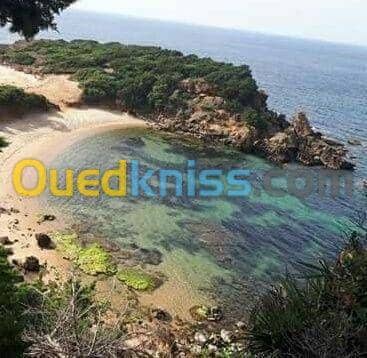 Location vacances Villa El taref El kala 26