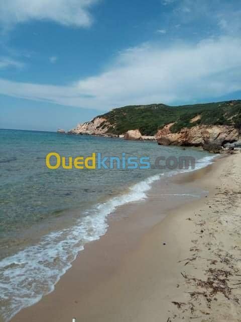 Location vacances Villa El taref El kala 27